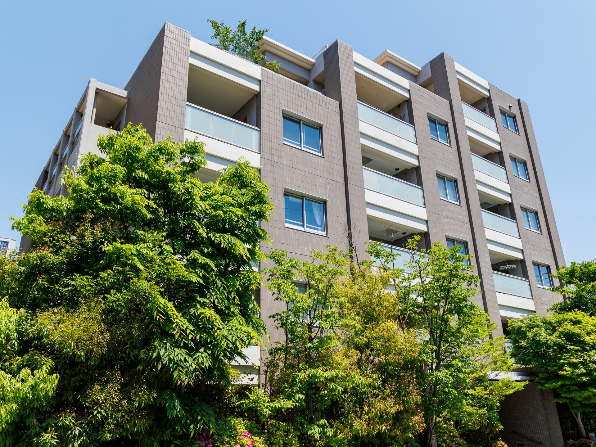 メインビジュアル